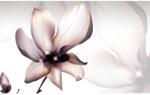 MÉDIA Öntapadó és mosható falfestmény Magnólia virág, 250 x 200 cm (FOTOTAP9217)