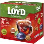 LOYD Gyümölcstea LOYD Piramis Hot szilva-füge-gyömbér-fahéj 20x2 g - vectraline