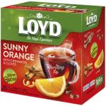 LOYD Gyümölcstea LOYD Piramis Hot narancs-fahéj 20x2 g - vectraline