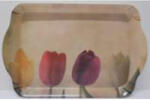  Tálca uzsonnás 21x14, 3x2 cm, műanyag, tulipános (SJ12)