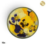 ROSIE ROSE szárított virág, árvácska, 15db (RR029)