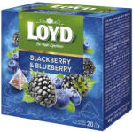 LOYD Gyümölcstea LOYD Piramis áfonya-szeder 20x2 g - fotoland