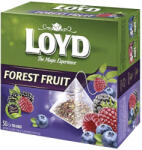 LOYD Gyümölcstea LOYD Forest Fruit 50x2 g - papir-bolt