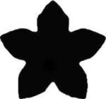 Penta collection Formalyukasztó 38 mm, Virág, öt szirmú