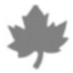 Penta collection Formalyukasztó 25 mm, Juharlevél