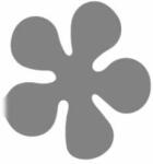 Penta collection Formalyukasztó 76 mm, Virág, öt szirmú 3