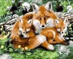 NORIMPEX - Puzzle Tablou Diamant: Familie de vulpi 30x40cm - 1 - 39 piese