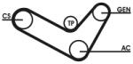 Continental Ctam Set curea transmisie cu caneluri CONTINENTAL CTAM 6PK1050D2 (6PK1050D2)