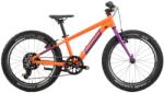 R RAYMON Yanga 20 (2025) Bicicleta