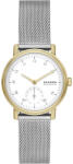 Skagen SKW3101