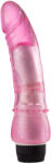 Rosy Vibrator Rosy Dante 21cm Rosu Vibrator