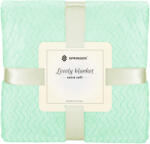 SPRINGOS Pléd, kétszemélyes, 160x200cm, pasztellzöld (HA7145)
