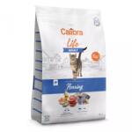 Calibra Cat Life Adult Herring 6 kg + 1, 5 kg GRÁTISZ