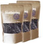 GYMBEAM - Liofilizált áfonya - 3 X 100 G