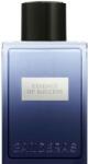 Antonio Banderas Essence of Success EDT 100 ml Parfum