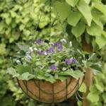 Edco Függő Kókuszrost kaspó acél keretben, 31 cm (871125213756)