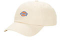 Dickies Baseball sapkák HARDWICK WHITECAP GRAY Bézs Egy méret