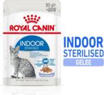 Royal Canin Indoor zselében 12x85 g - 1.020 g