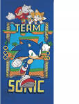  Sonic a sündisznó Ring Team fürdőlepedő, strand törölköző 70x140cm (Fast Dry) (AYM078817) - oliviashop