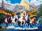 NORIMPEX - Puzzle Tablou Diamant: Cai pătați 30x40cm - 1 - 39 piese