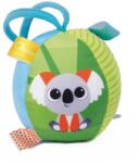 Chicco Weicher Ball Jucarie pentru Bebelusi Texturi Variate Dezvolta Coordonarea si Simtul Tactil (00011565000000)