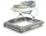 Caretero Toyz Проходилка Timon Graphite Caretero Toyz (TOYZ-20767) - tary Проходилка