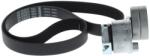 Bosch Set curea transmisie cu caneluri BOSCH 1 987 600 711 (1 987 600 711) - automobilus