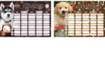 T-Creativ Órarend T-Creativ nagy 24 Dogs 165x235 cm 25 db-os csomag (N13044TDO)