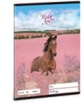 Ars Una Füzet tűzött 20-32 sima A/5 Wild and Free lovas (53613592)