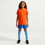 Nike Dri-fit Park Viii Jr (hv8182-819)