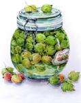 TSvetnoy Set de pictură cu diamante TSvetnoy - Gooseberry Jam