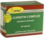 Hofigal L-Carnitin Complex, 40 capsule, Hofigal