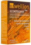 MED TRUST Extract de scortisoara si de ginseng Wellion, 30 capsule, Med Trust