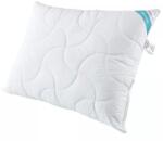 Inter-widex Perna regulata Senna Home ANTI STRESS, 70x70cm, 1000g, fehér (SHASPCC70x70B1000g)