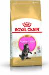Royal Canin Maine Coon Kitten - Maine Coon Kölyök Macska Száraz Táp 2 Kg (60436) (60436)