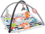 Mattel Активна гимнастика Fisher Price - Glow & Grow (JMN72) - ozone