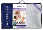  Párna 50×60 SATIN 100% pamut AloeVera Satin (1213616)