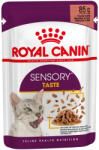 Royal Canin Sensory Taste Gravy Alutasakos Macskaeledel - 85 g