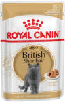 Royal Canin British Shorthair Adult Alutasakos Macskaeledel - 85 g