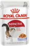 Royal Canin Instinctive Jelly Alutasakos Macskaeledel - 85 g