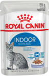 Royal Canin Indoor Jelly Alutasakos Macskaeledel - 85 g