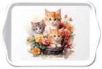 Ambiente Kittens in basket műanyag kistálca 13x21cm
