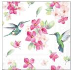 Ambiente Diligent hummingbirds papírszalvéta 25x25cm, 20db-os