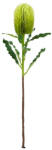 Bizzotto Set 3 flori artificiale Hazely verzi 20x20x65h (0173201)