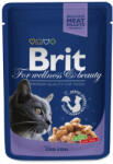 Brit Premium cod 12x100 g