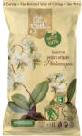 Dr. Soil Substrat pentru Phalaenopsis 1 l (DRS001EEA)