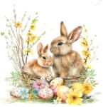  Ti-Flair Szalvéta 33x33 cm 3 Rétegű 20 Lap/Csomag Bunnies In A Basket (AAE551)