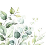  Ti-Flair Szalvéta 33x33 cm 3 Rétegű 20 Lap/Csomag Eucalyptus Branches (AAE569)