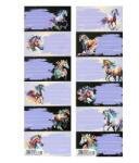 Starpak lovas füzetcímke 6 db-os kétféle (559542)