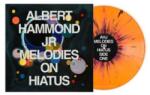 Red Bull Records 2LP Albert Hammond Jr. : Melodies On Hiatus CLR